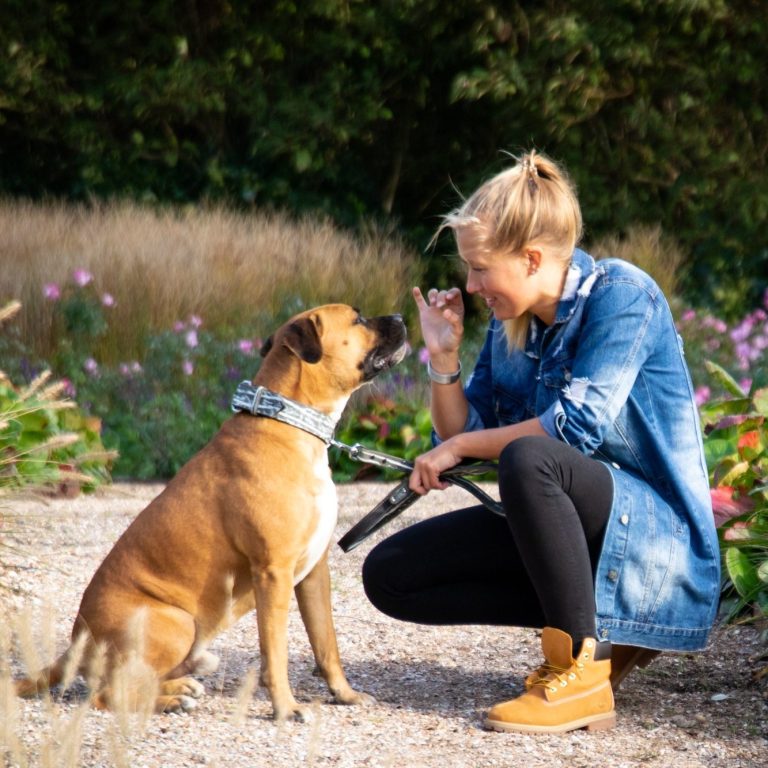 Vrouw in spijkerblouse geeft aandacht aan een zittende hond in een bloemenveld.